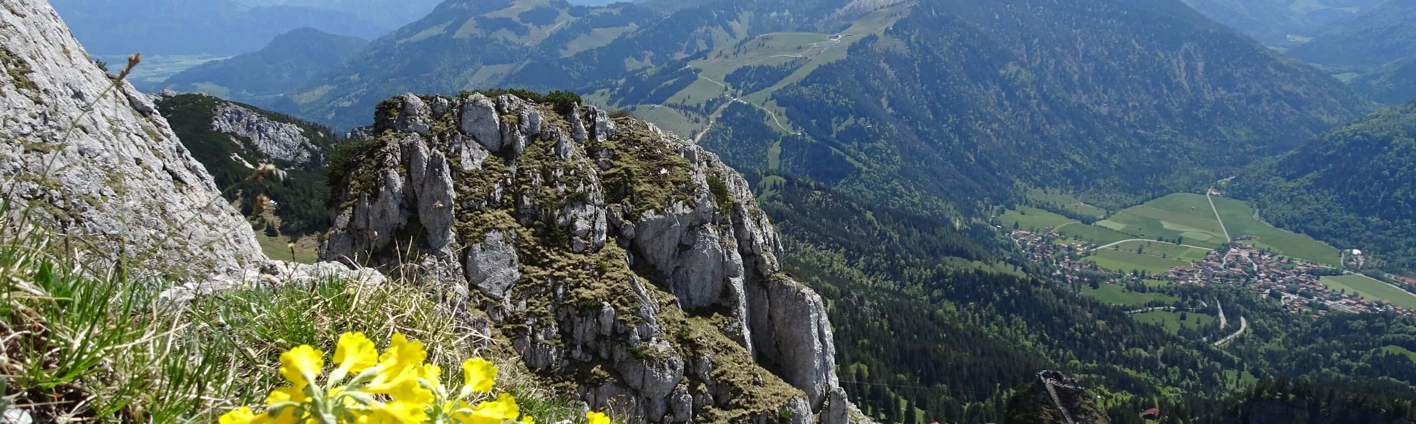 Berge & Almblumen | © Eurofun Touristik