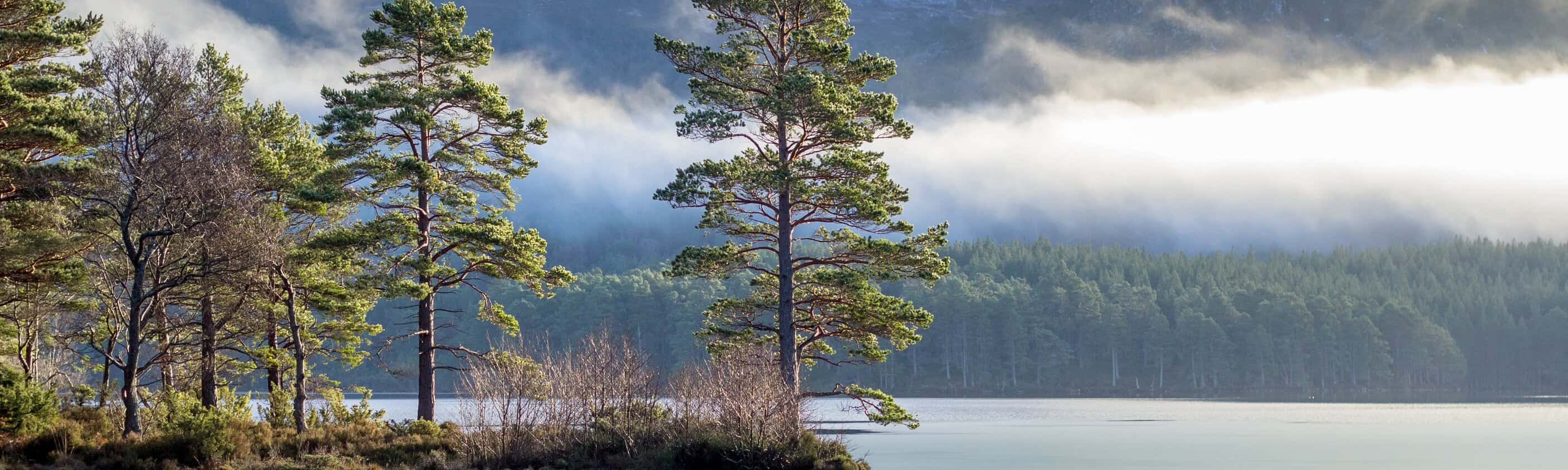Schottland Loch an Eilein | © Shutterstock