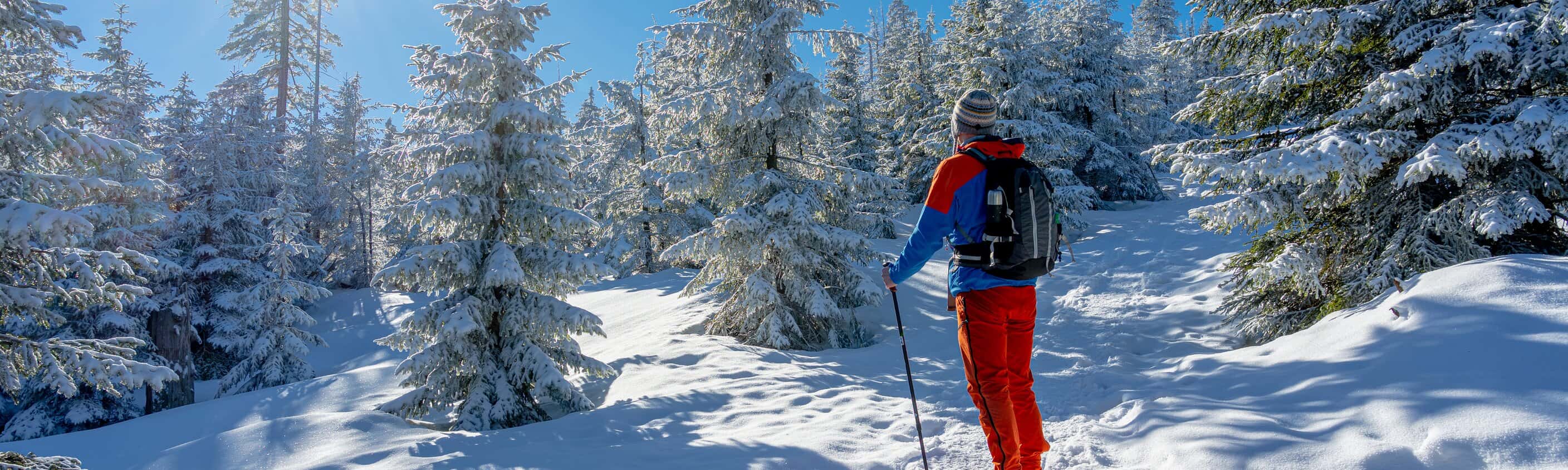 Weihnachten am Mieminger Plateau für Singles und Alleinreisende