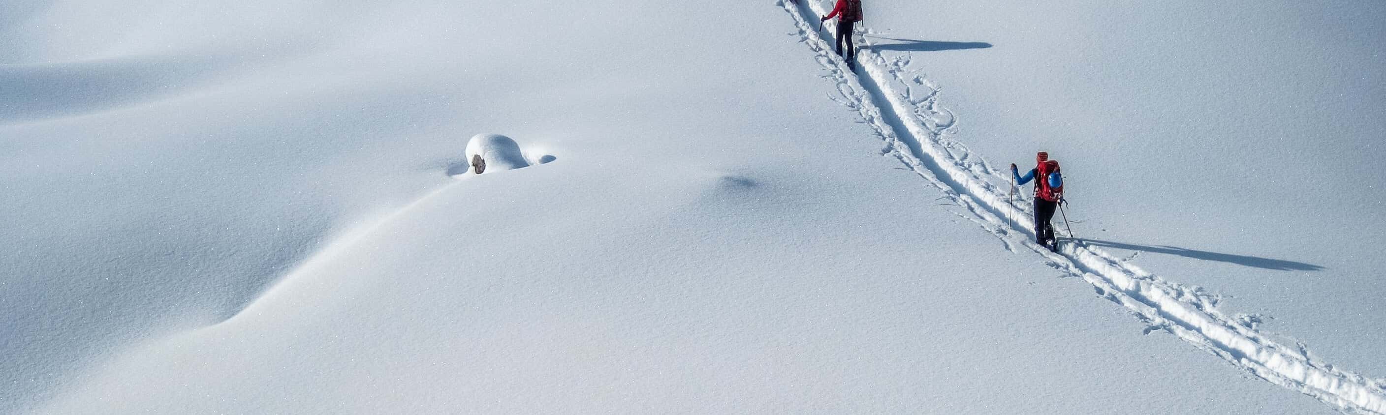 Skitouren vom Wohlfühlhotel zu den Pitztaler Gletschergipfeln mit Wildspitze (3.772 m)