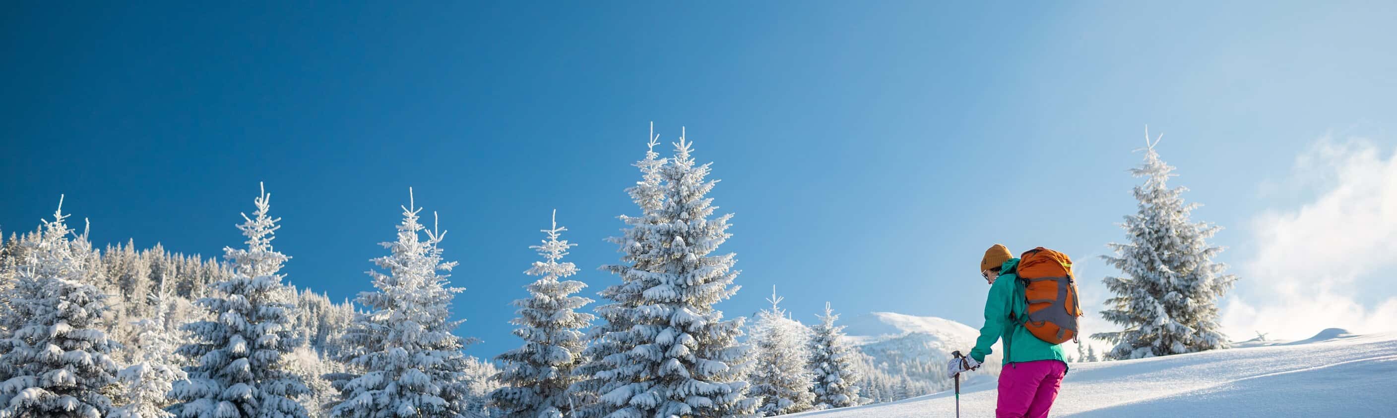 Winter- & Schneeschuhwandern am Mieminger Plateau