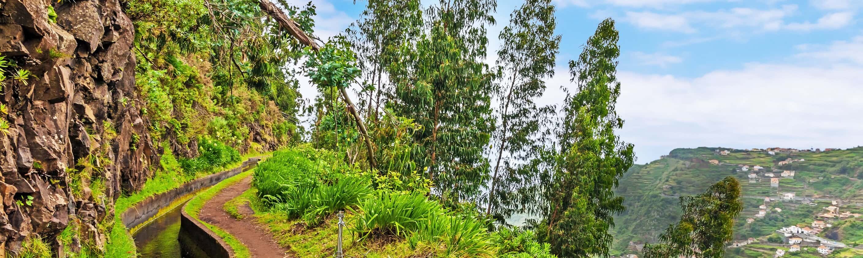 Madeira Levada | © shutterstock_143054959