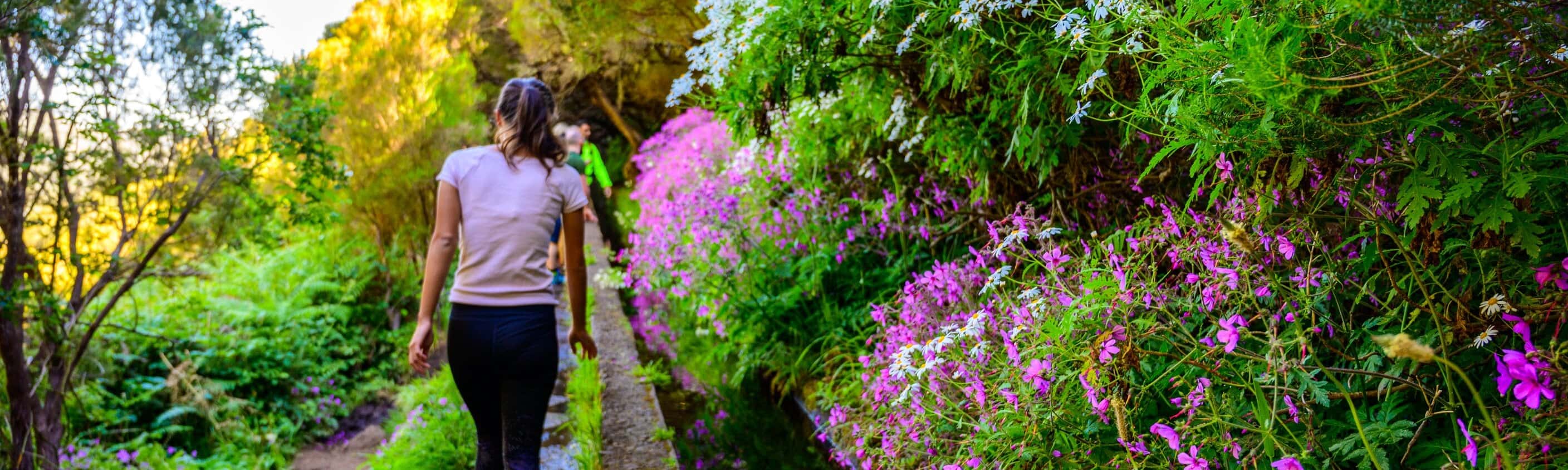 Madeira Wandern | © shutterstock_1610287138