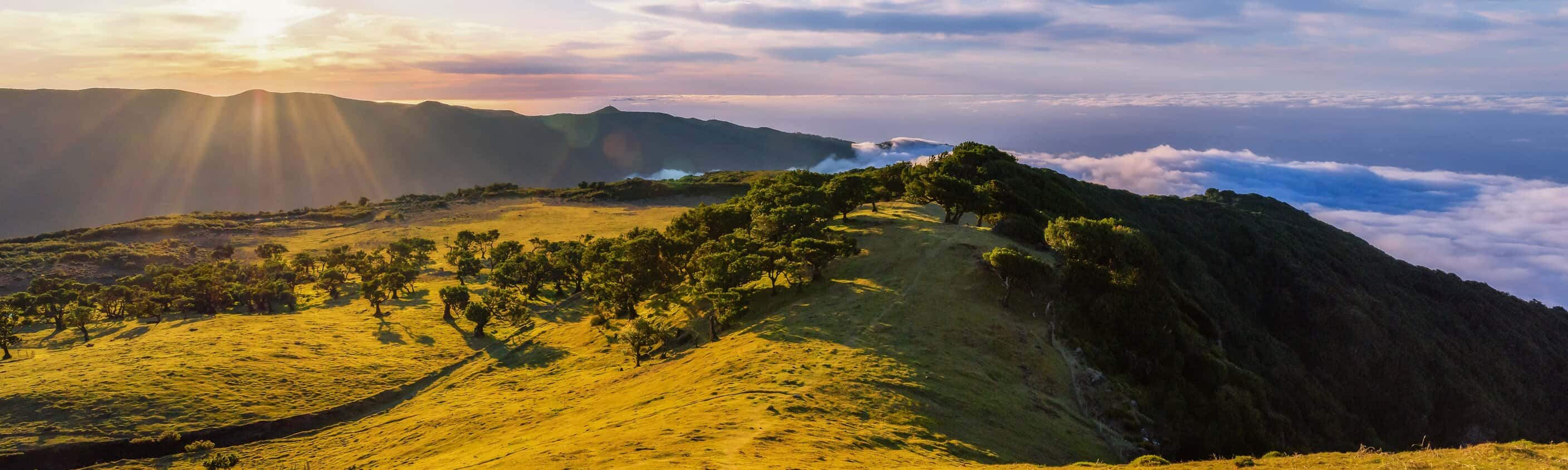 Madeira gemütlich erwandern