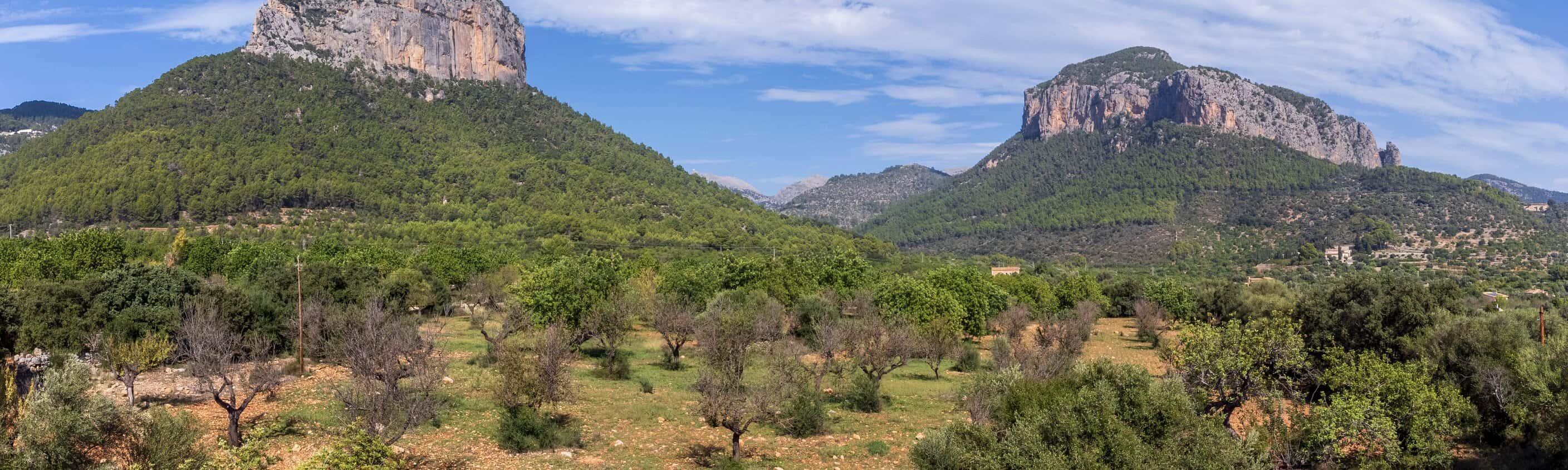 Jahreswechsel auf dem ländlichen Mallorca