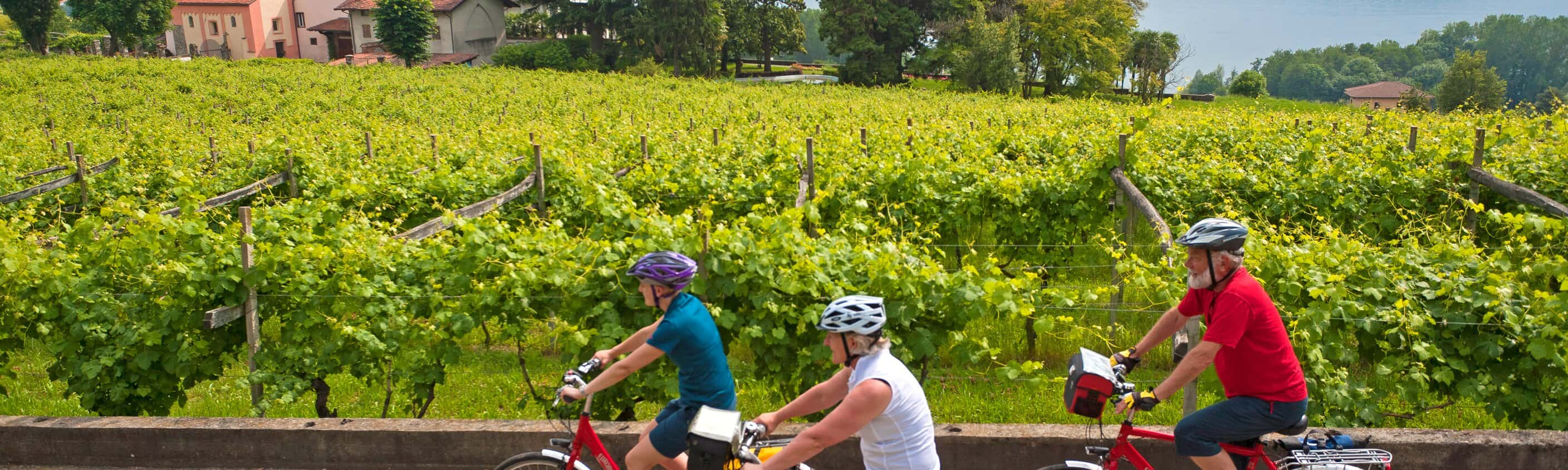 Sternfahrt Piemont - Italiens Geheimtipp
