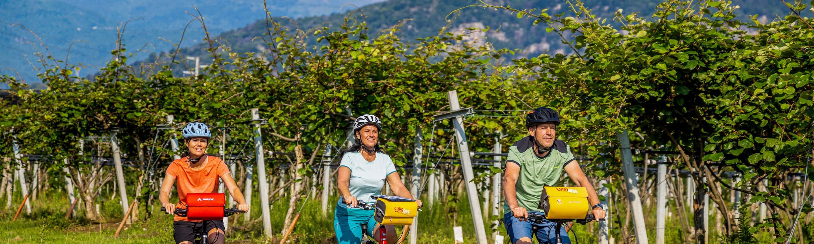 Piemont Rundfahrt - Im Garten Eden Italiens