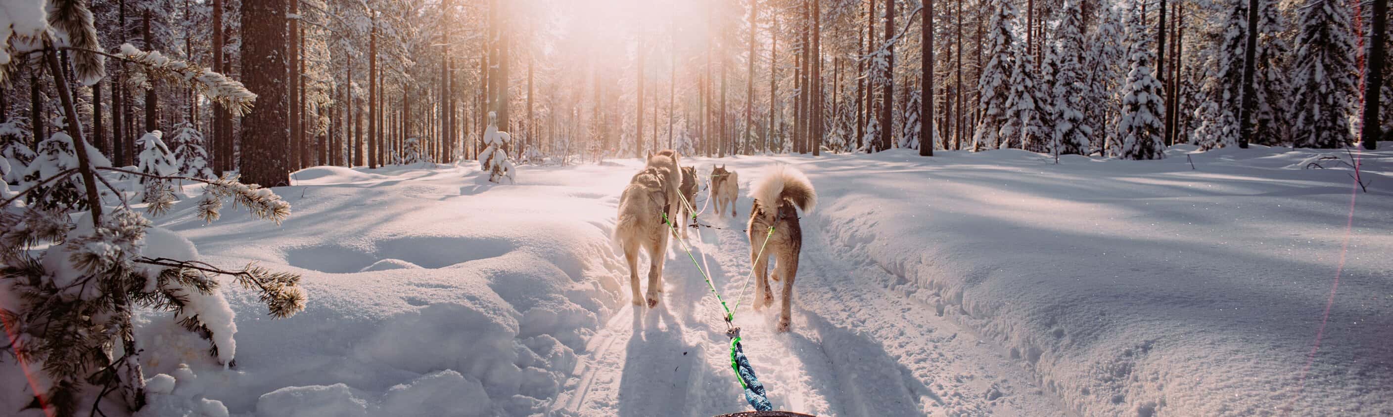 Winter in Finnland