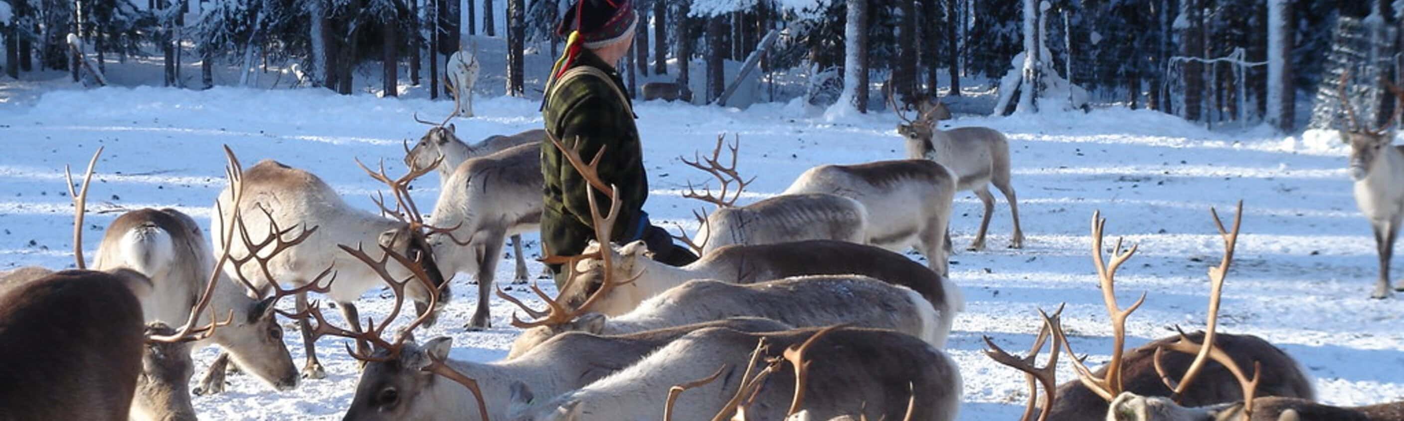 Finnland - Wintertraum in der Saija Lodge
