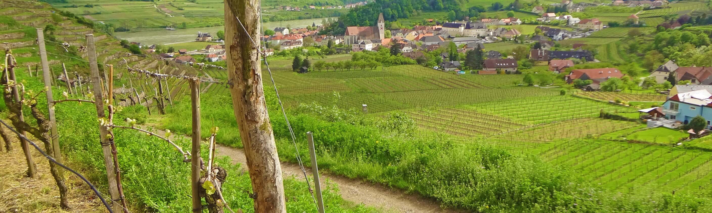 Welterbesteig Spitz Kirche | © Eurohike