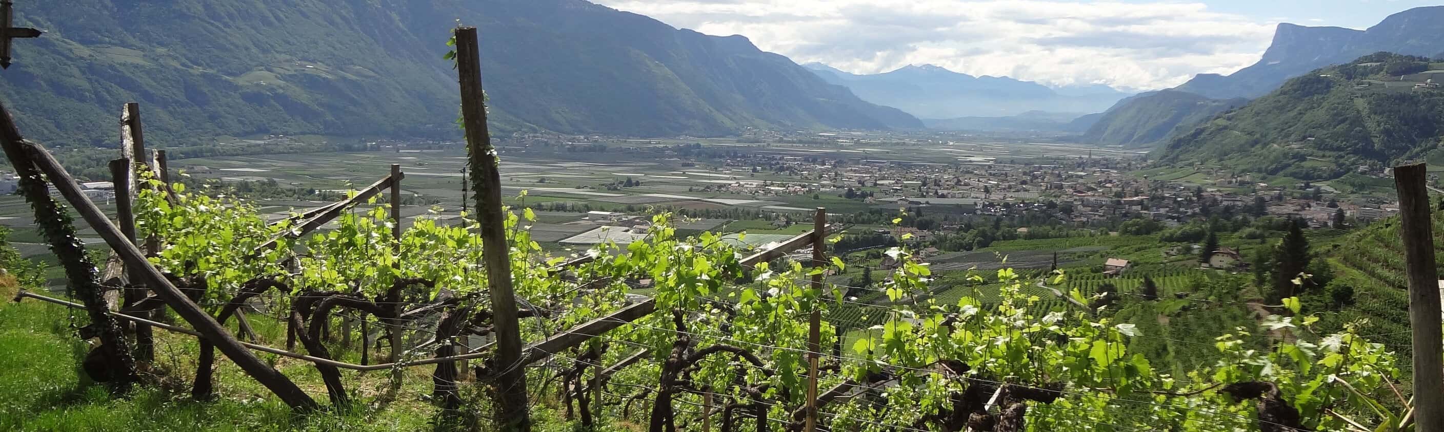 Italien Weinstrasse Bank | © Eurohike
