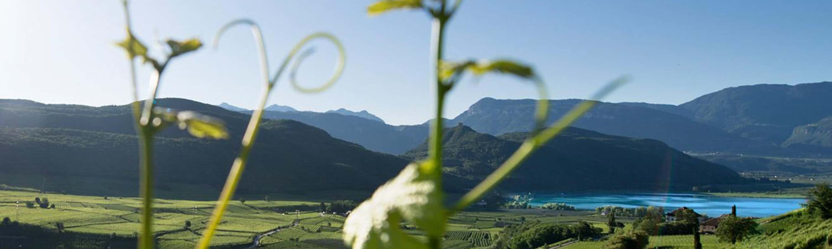 Augsburg - Riva del Garda klassisch strauch | © Inntours