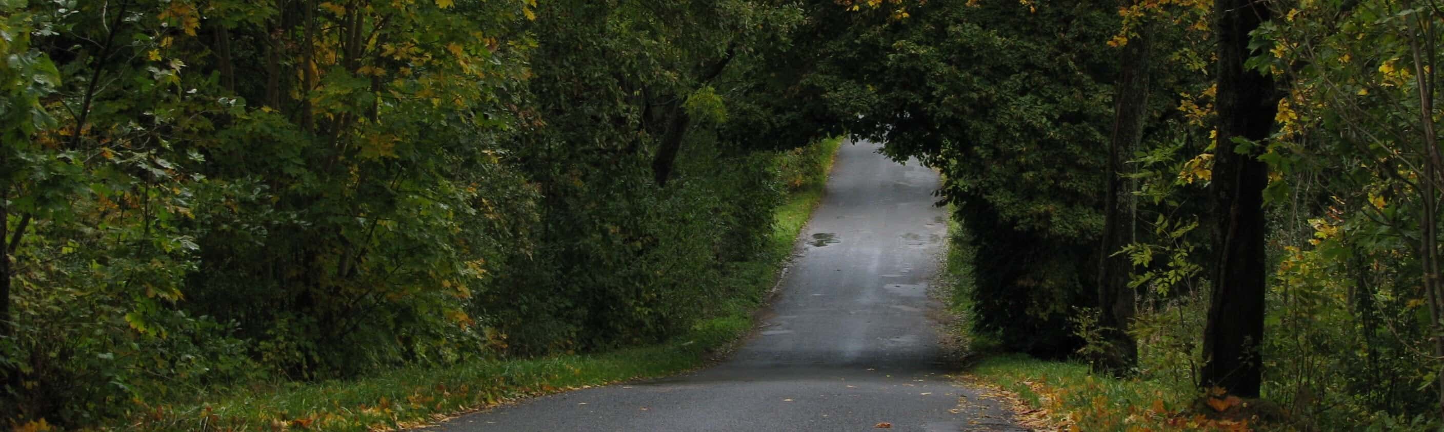 Radtour durch 4 Länder Weg | © Baltic Bike Travel