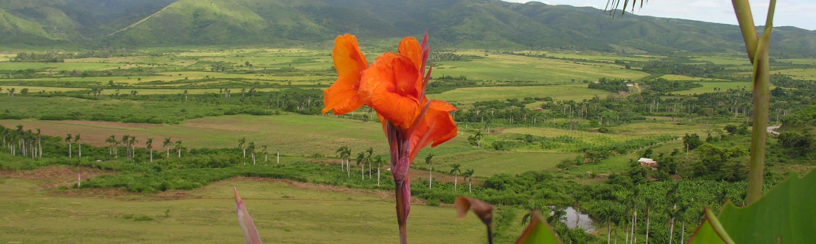 Kuba im Westen Panorama | © Caribbean Tours