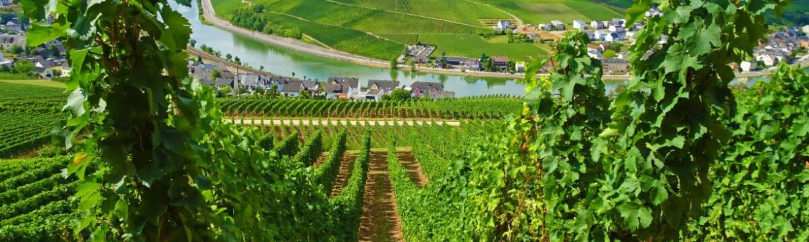 Mosel- & Eifelsteig - Von Perl nach Trier in 7 Tagen