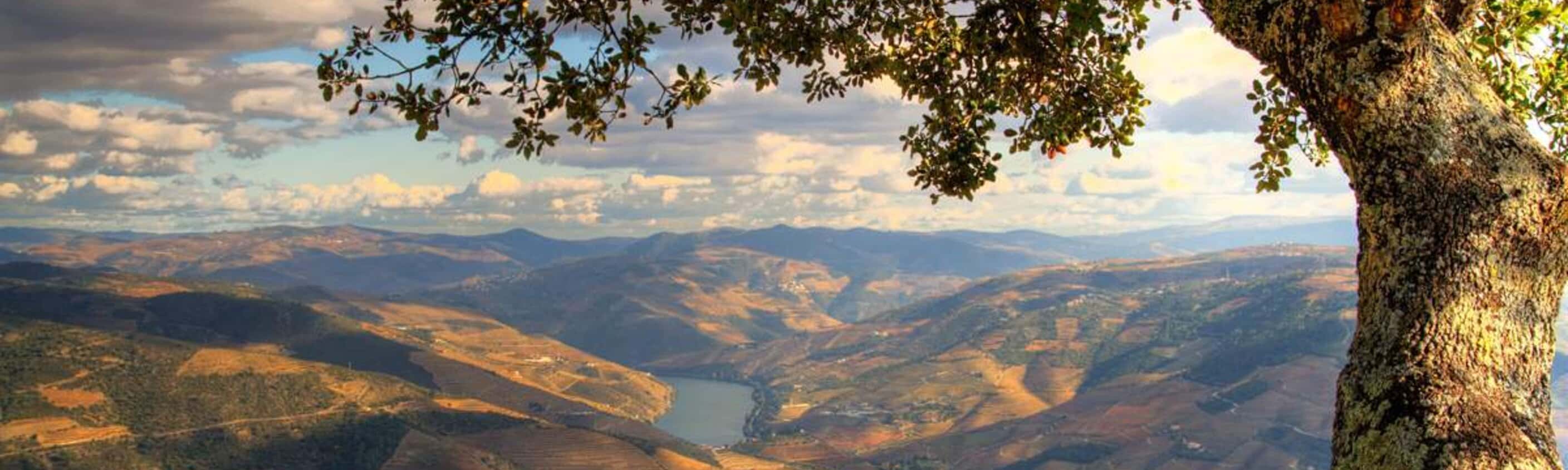 Douro - Weingut-Wanderung in Portugals Norden