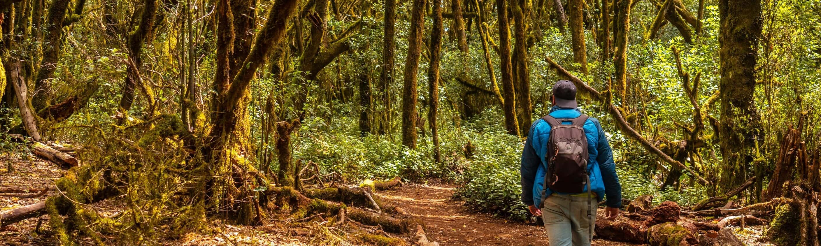 La Gomera - Trekking durch den Inselnorden