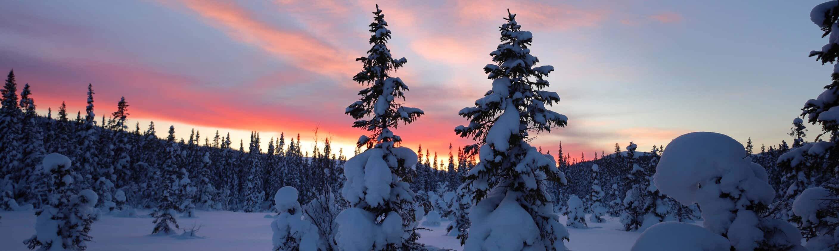 Åre Winter | © shutterstock