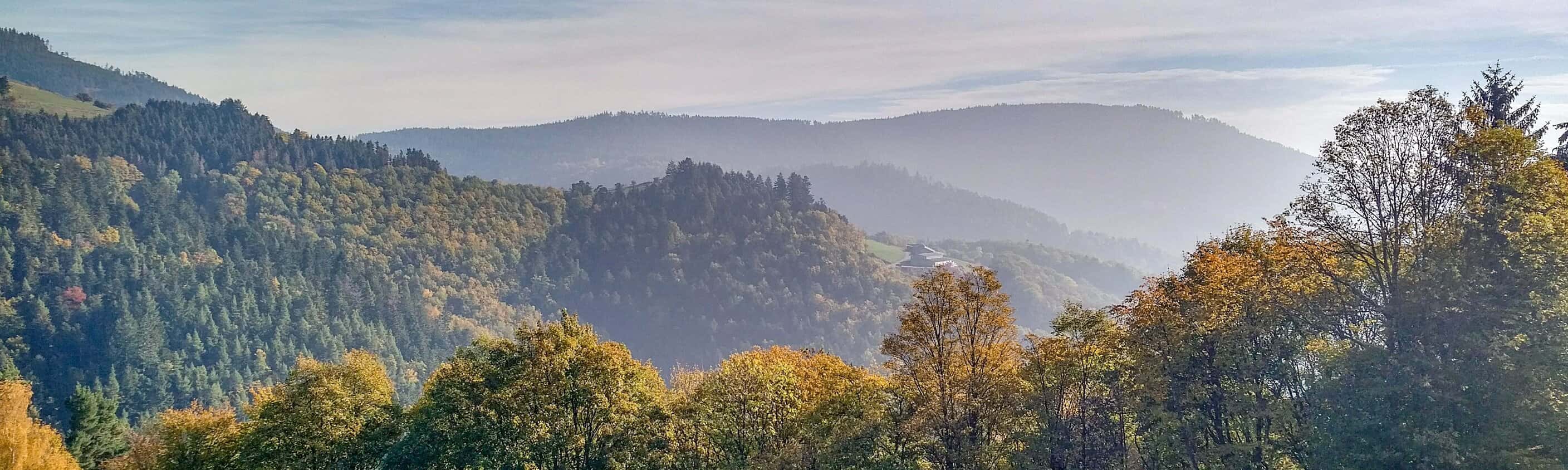 Sternfahrt im Nordelsass: 6 Tage Fahrrad, Spa und Entspannung