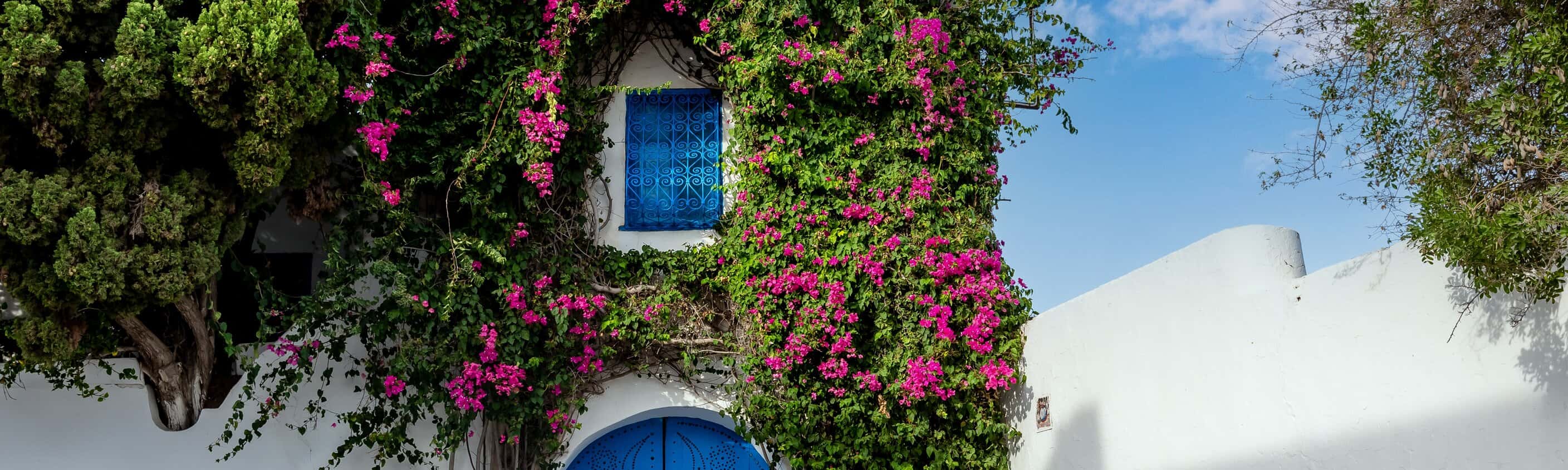 Tunesiens Highlights | © shutterstock