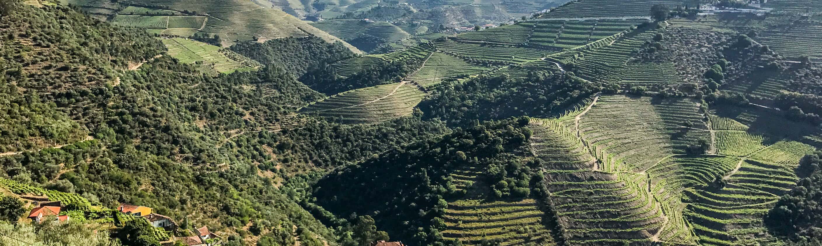 Portugal - Kurztour Porto & Douro (Komfort-Variante)