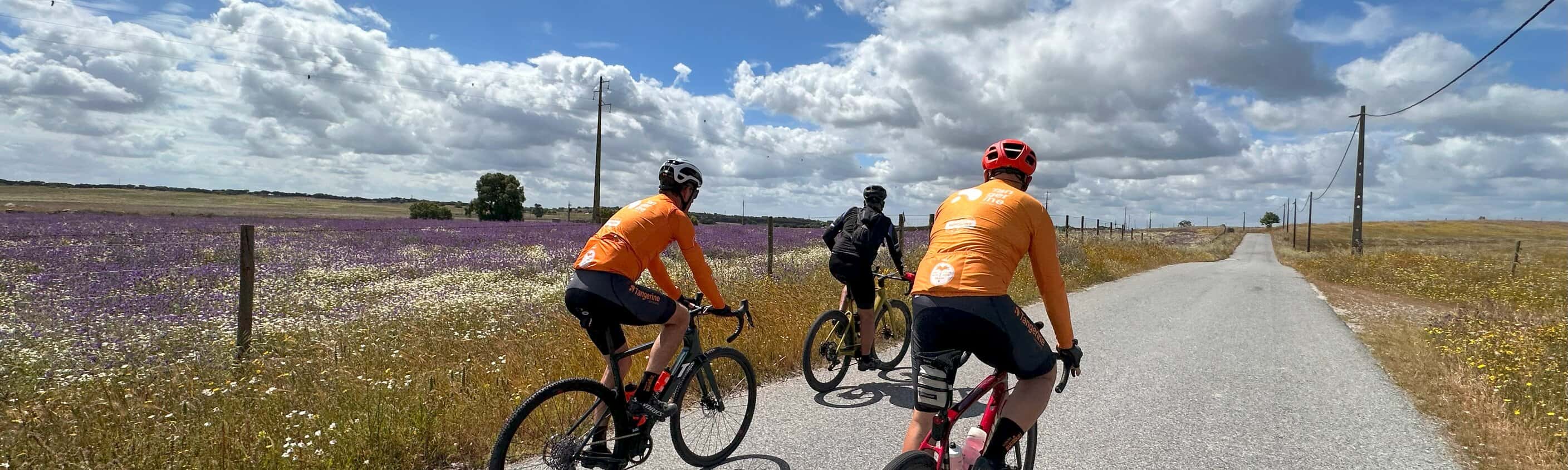 Portugal - Alentejo Gravel-Bike & Wein
