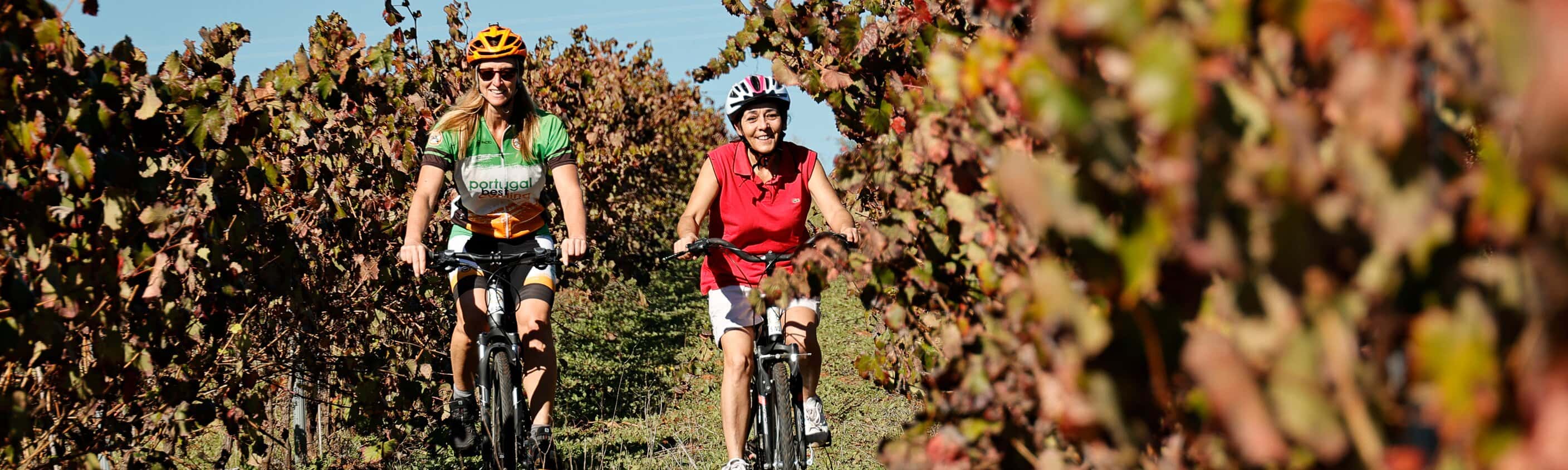 Portugal - Gemütlich durch den Alentejo