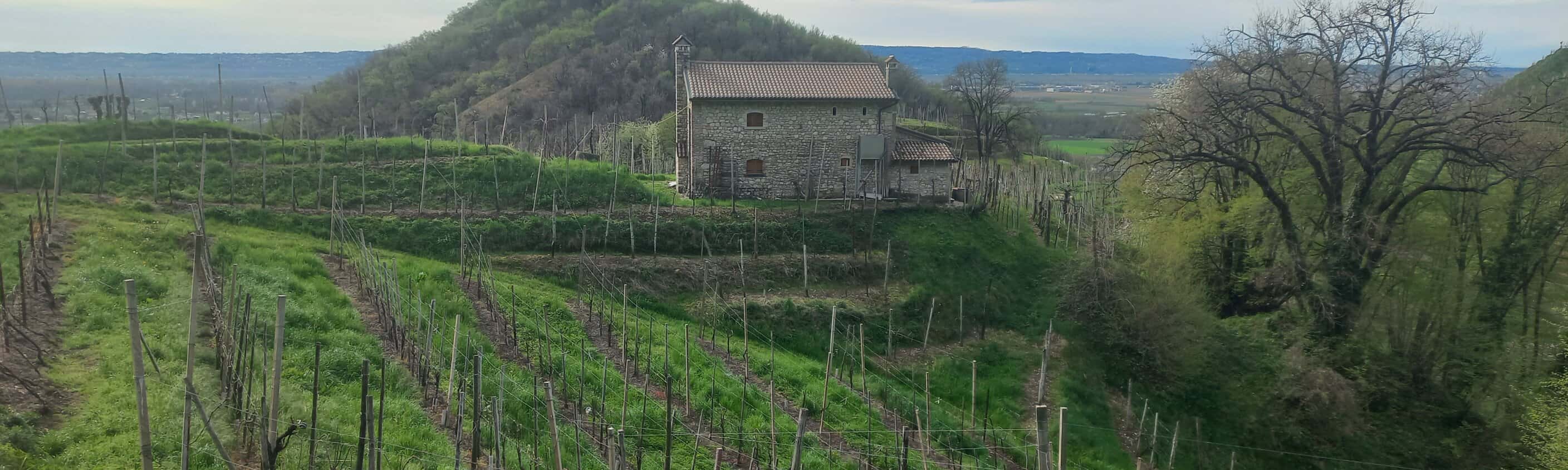 Venetien - Wanderung entlang der Prosecco-Straße
