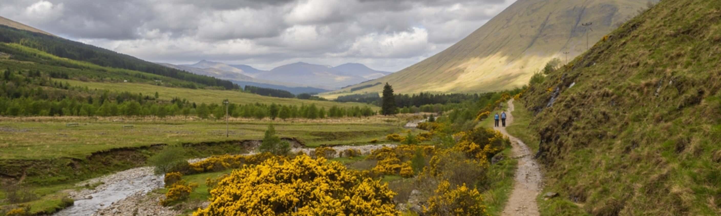 Wandern auf dem West Highland Way (8 Tage, via Kingshouse)