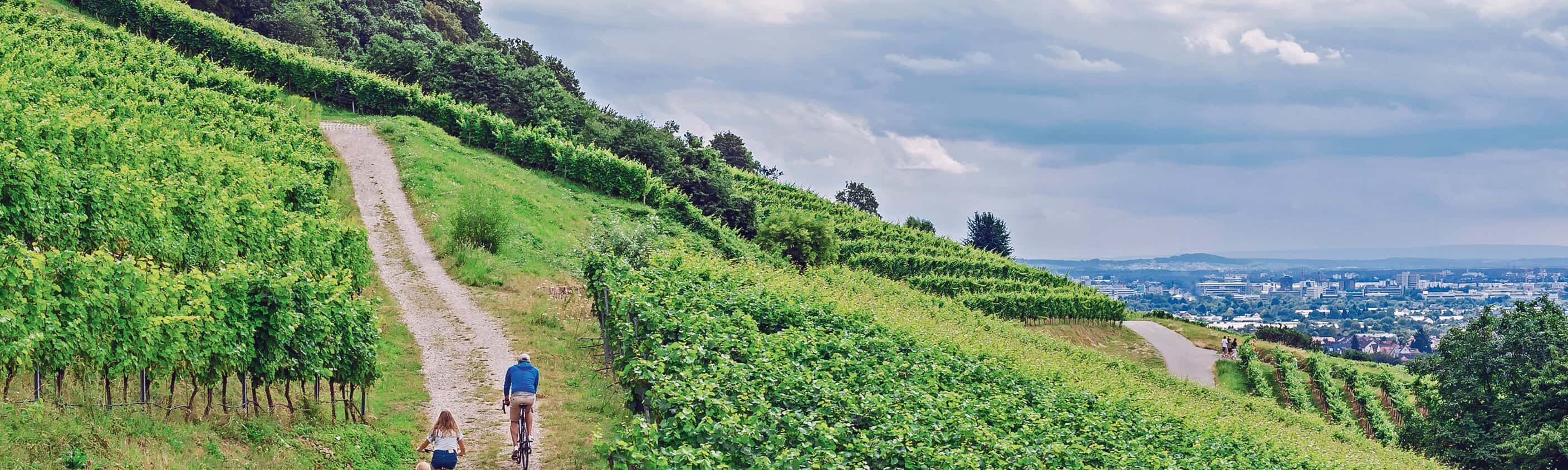 Pfälzer Weinsternfahrt: Gemütlich durch Weinreben und die Rheinebene