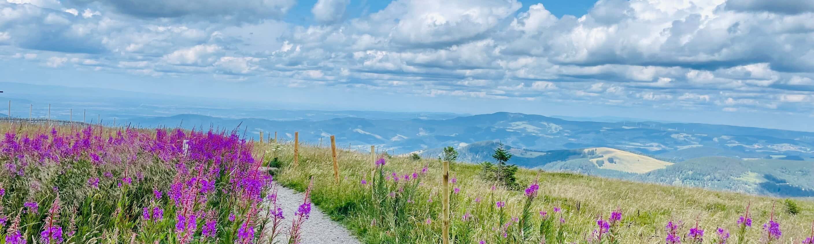 Die schönsten Wanderungen im Schwarzwald - Gipfel. Seen und Schluchten