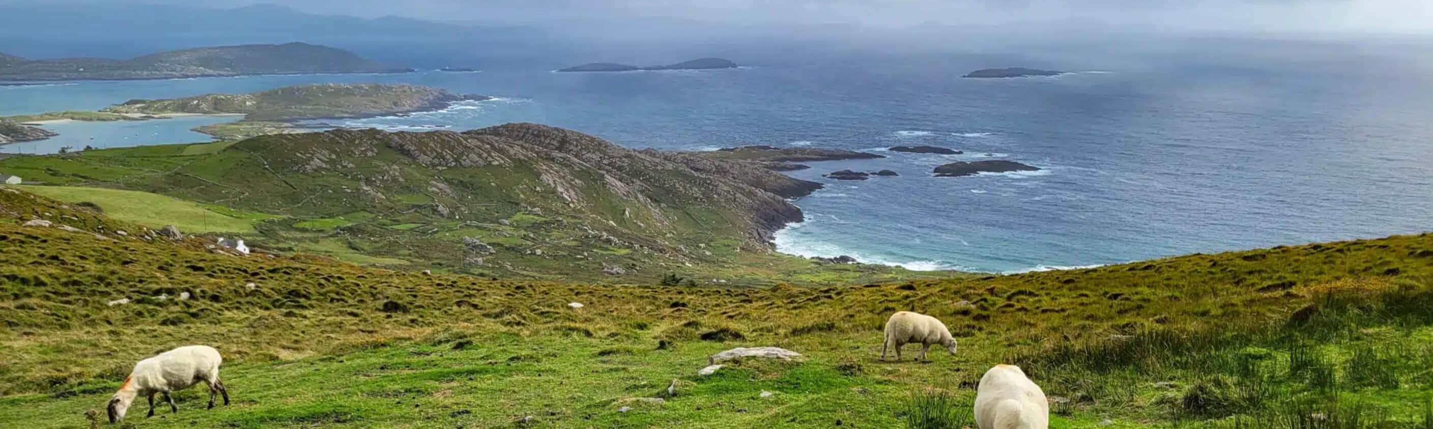 8-tägige komfortable Selbstwanderung auf dem Kerry Way