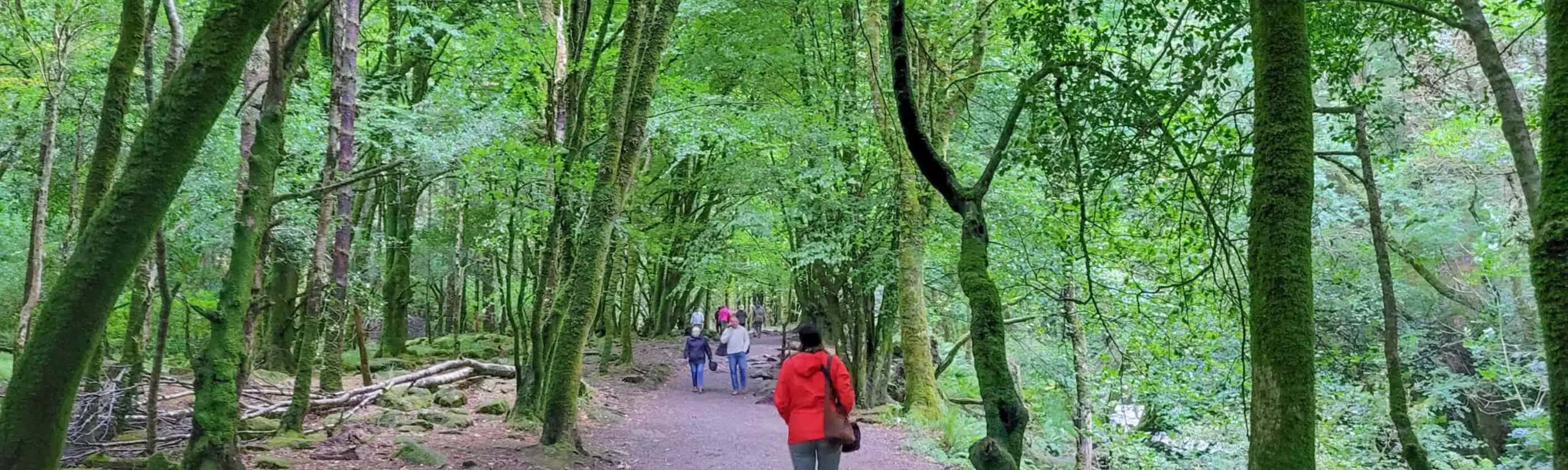 5‑tägige Selbstgeführte Wanderung auf dem Kerry Way