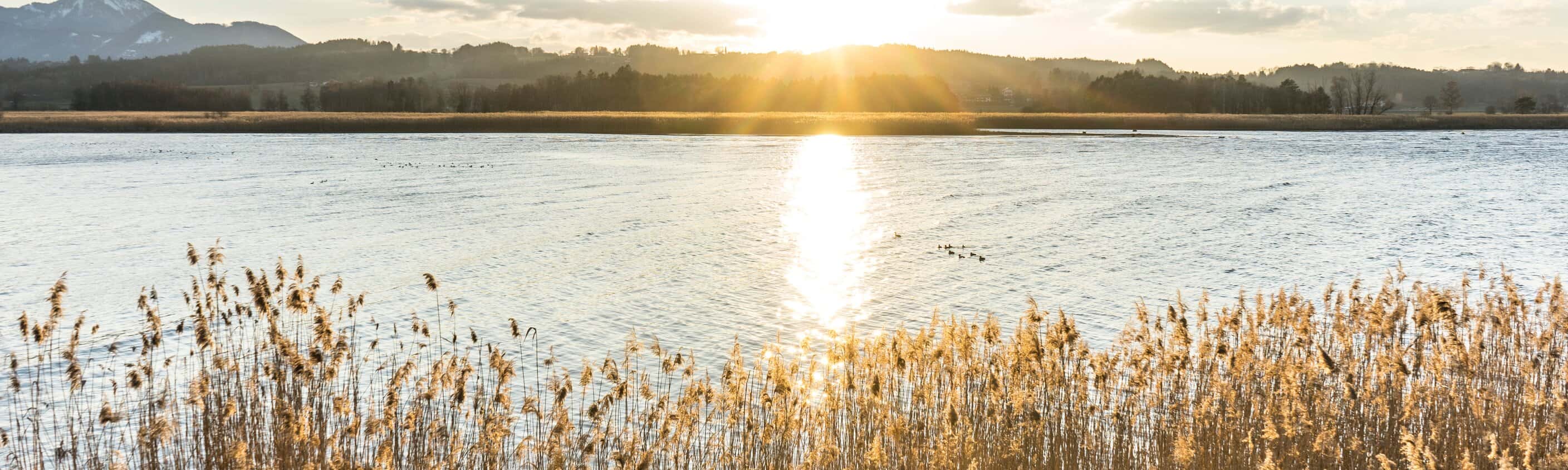 Bayern - Wandern rund um den Chiemsee