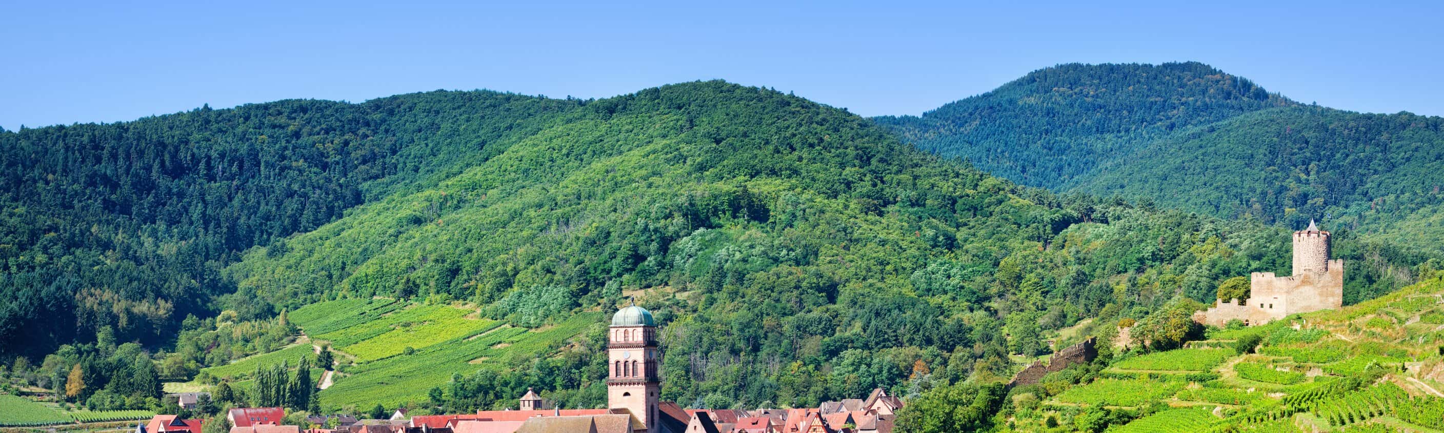 Wandern im Elsass: Weinwege, Bergpfade und Geschichte