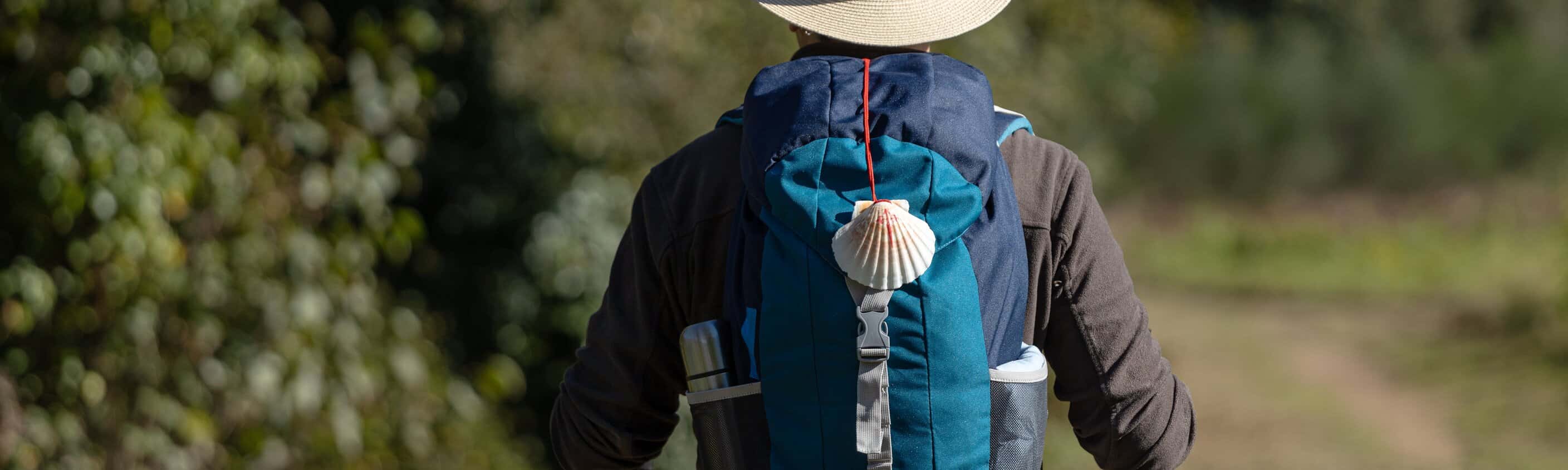 Der Winterweg - die letzten 100km des Jakobswegs ab Monforte de Lemos