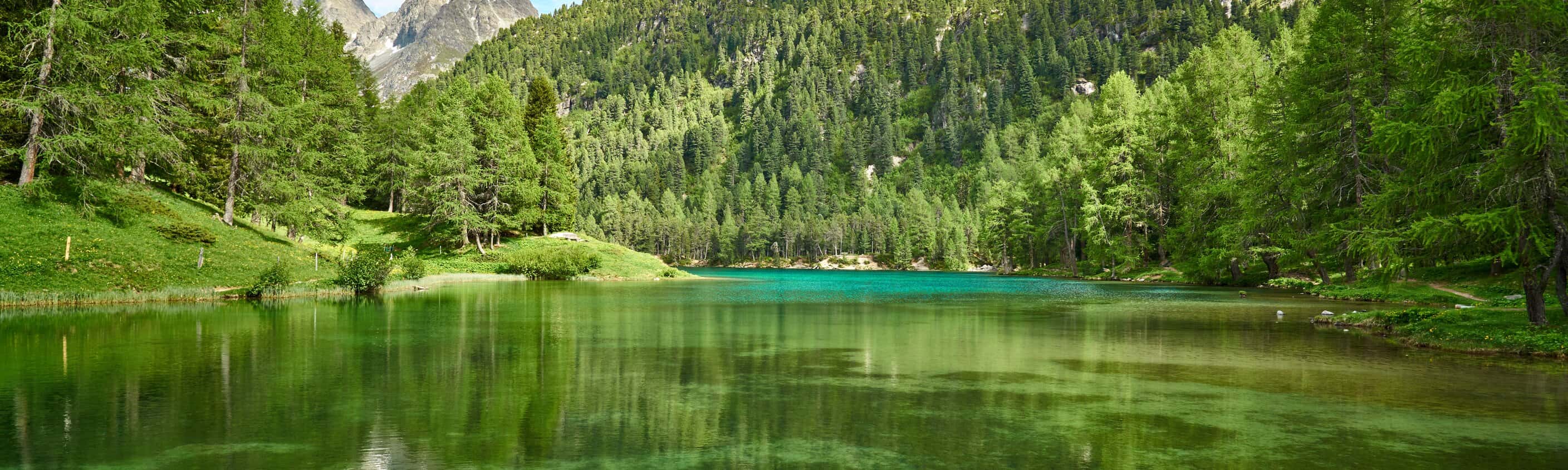 Schweiz - Kesch Trek