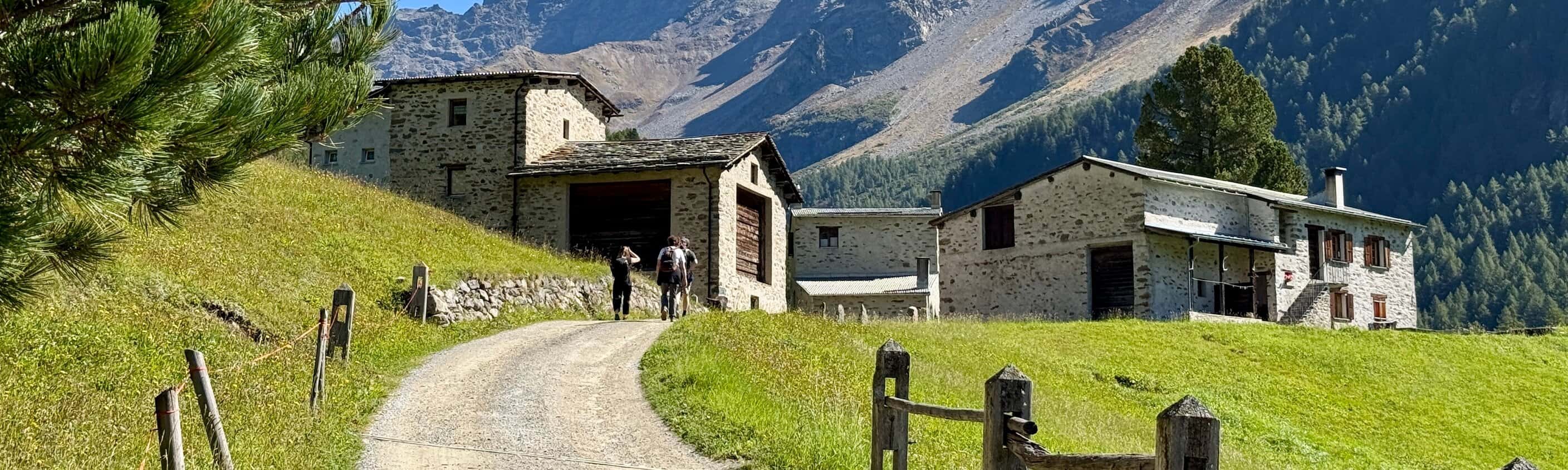 Bernina Trek Klassiker