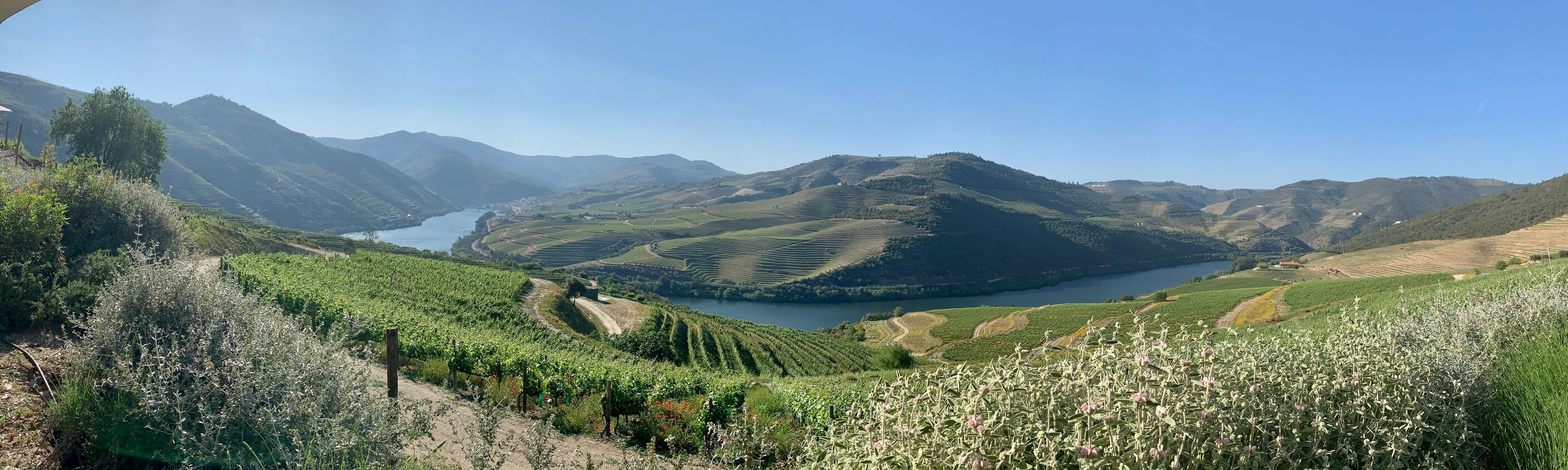 Douro Rennrad-Challenge