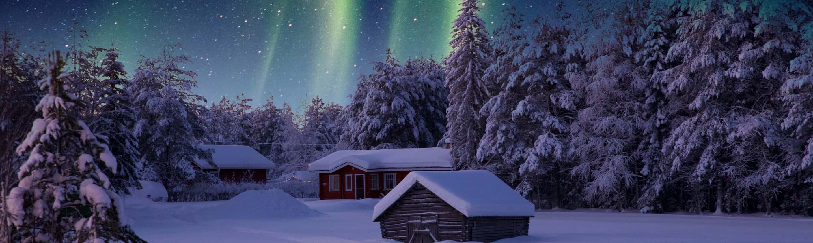 Weihnachtlicher Arktischer Charme
