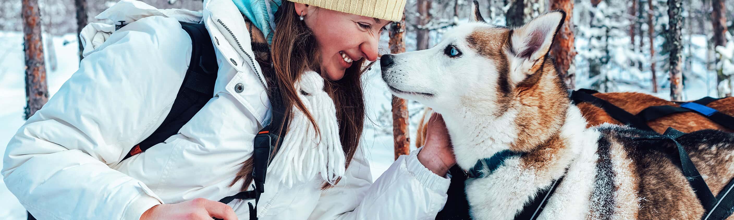Festlicher Zauber in Nova Skyland
