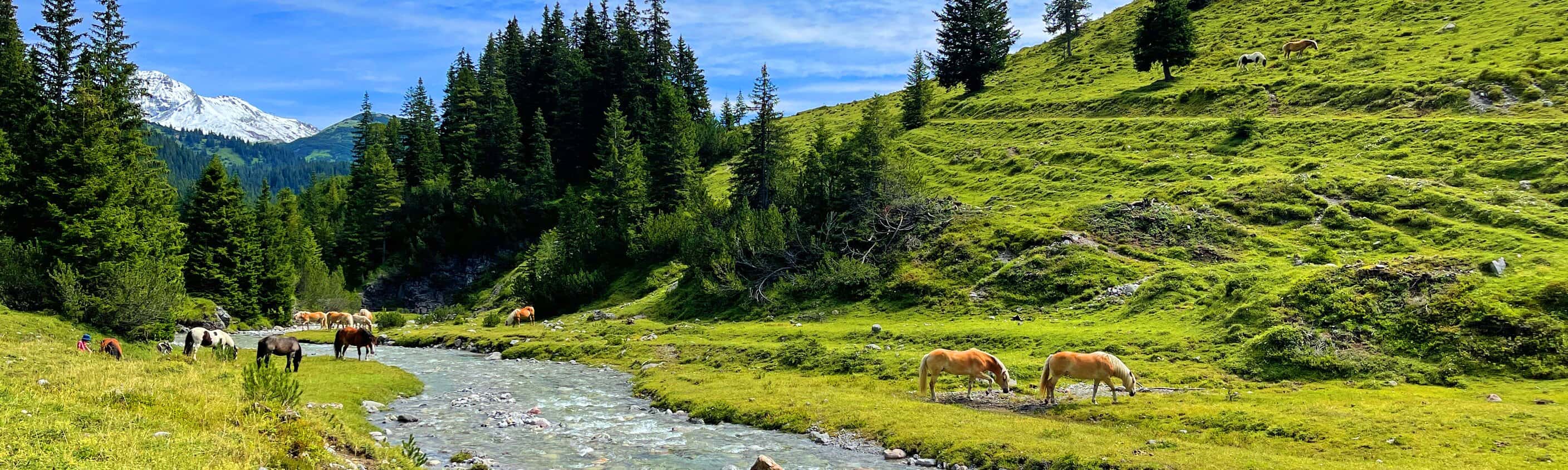 Lechweg 10 Tage: Lech am Arlberg - Füssen