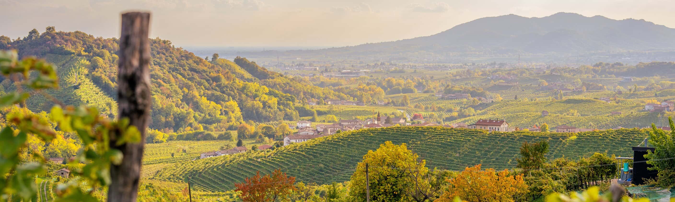 Italien - Radfahren durch die Prosecco-Hügel und Weinberge