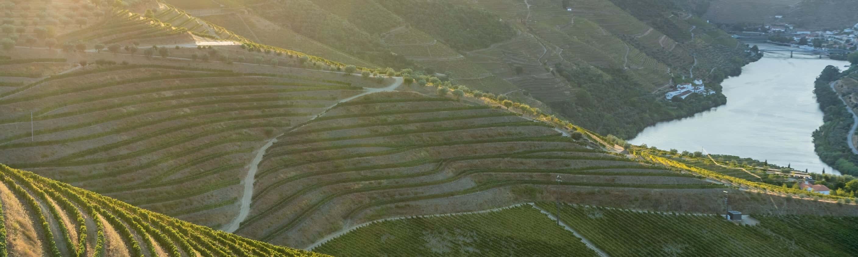 Douro & wildes Côa-Tal entdecken