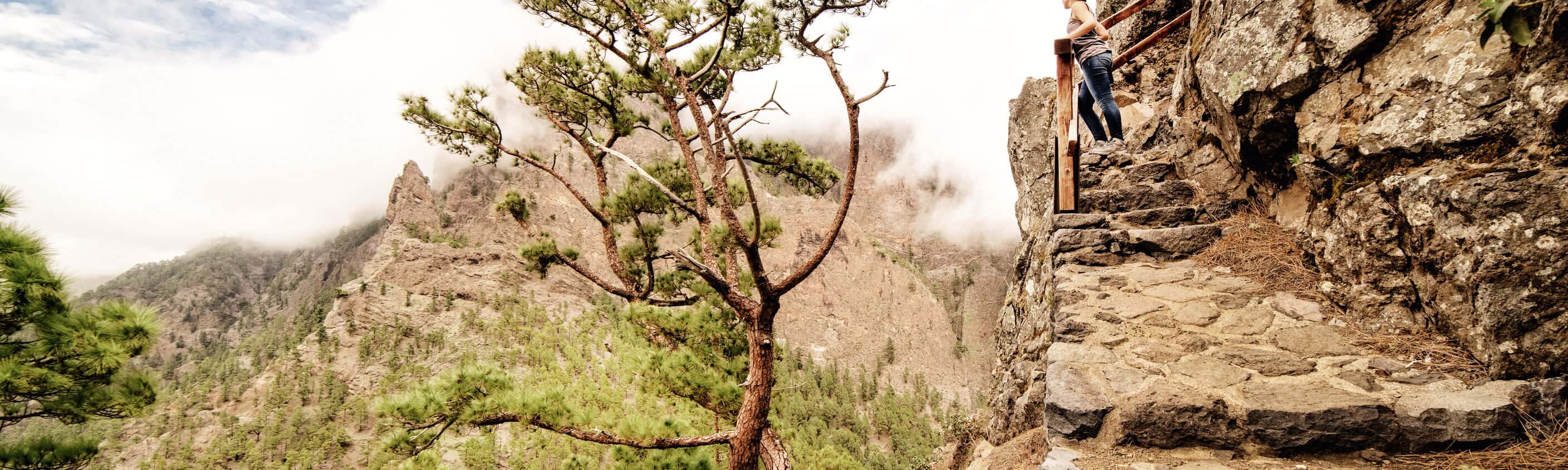 La Palma gemütlich erwandern