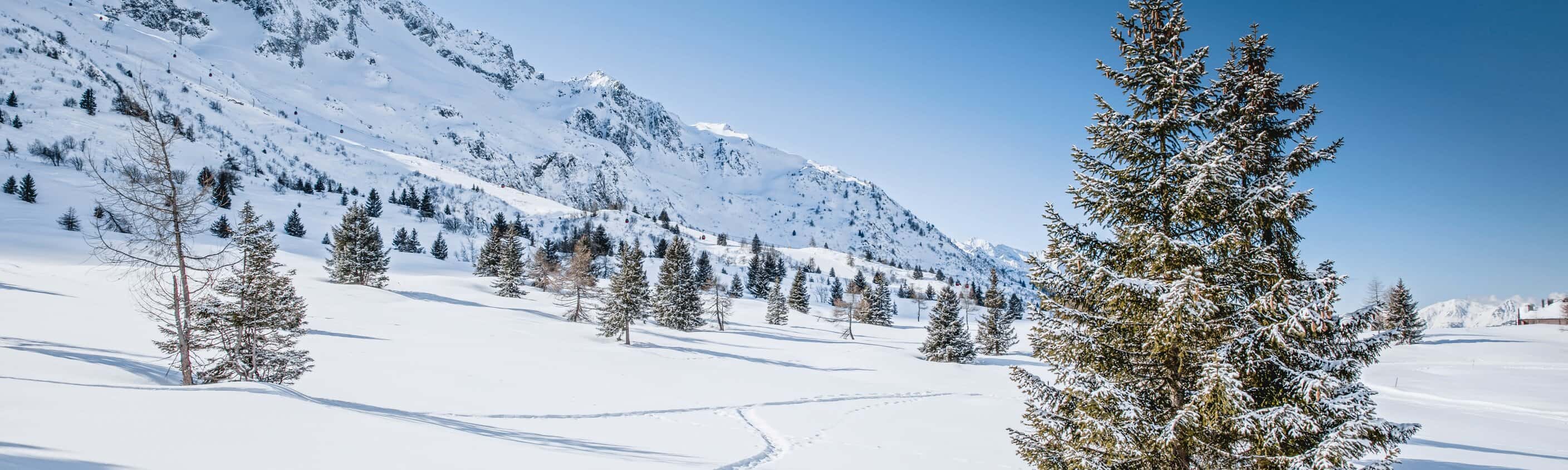 Berge, Sonne & Genuss: Schneeschuhwandern im Nationalpark Stilfserjoch