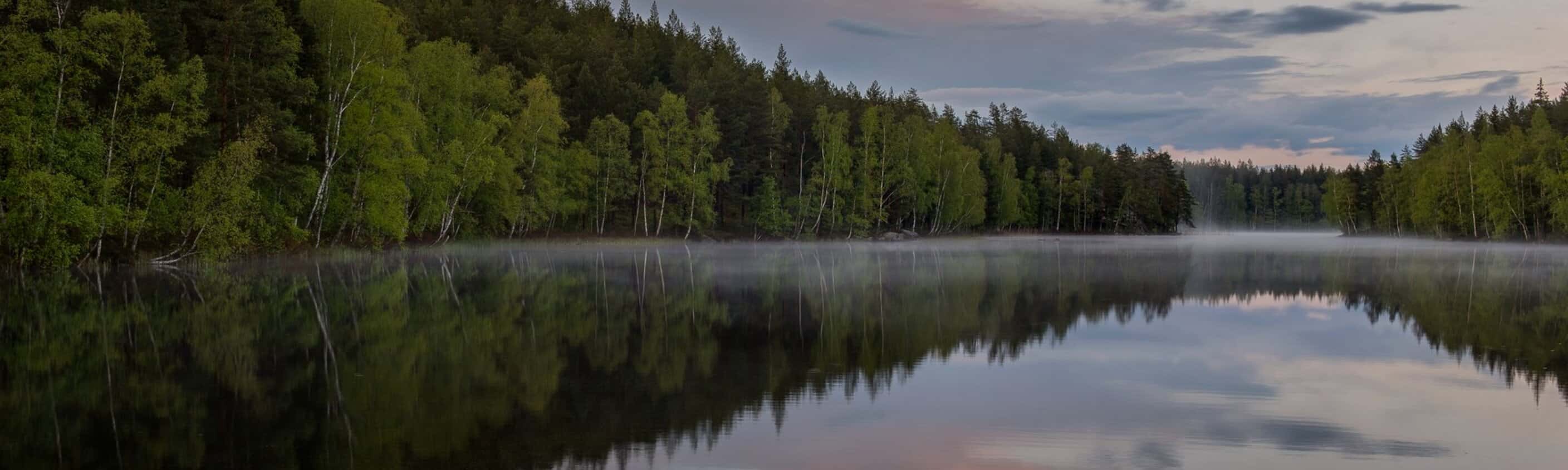 Wandern und Natur erleben in Mittelschweden