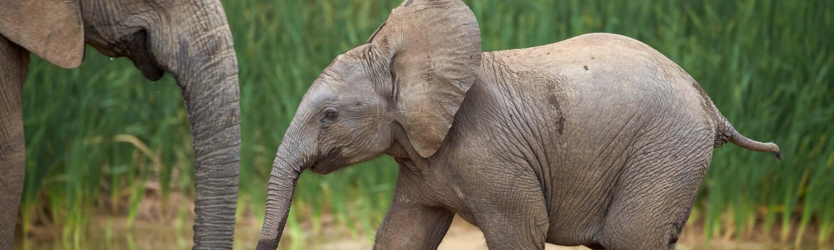 Natur & Kultur in Südafrika