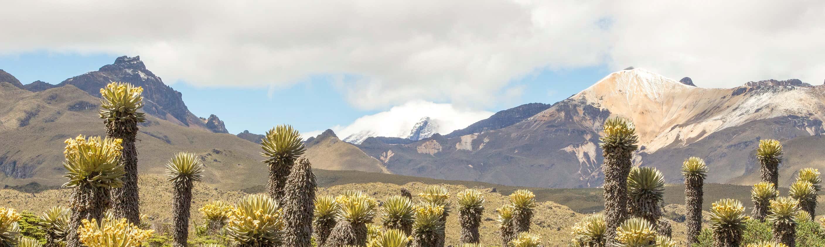 Kolumbien: Andentrekking im Cocuy und Los Nevados