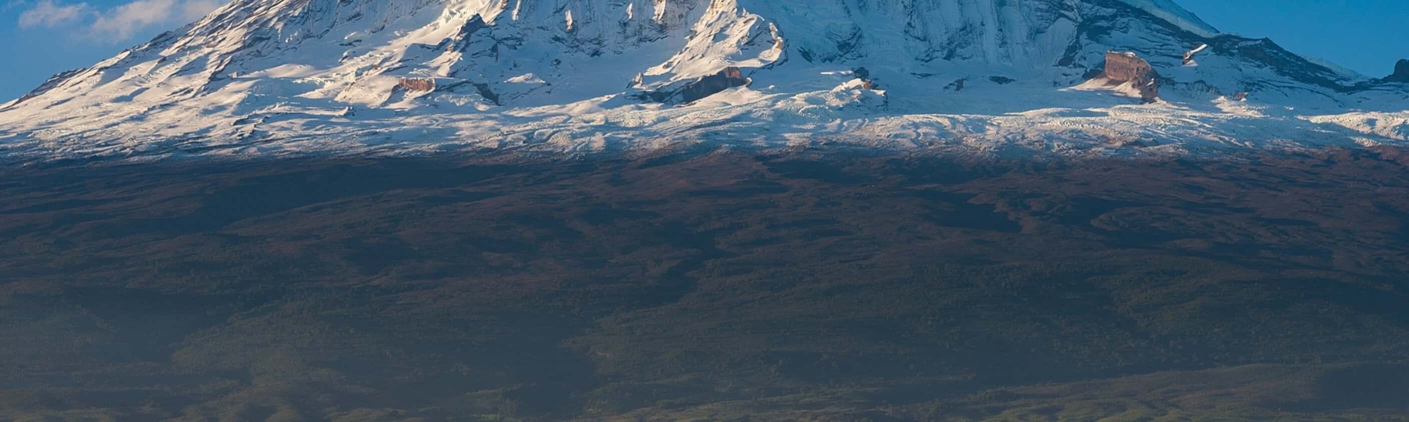 Kilimandscharo-Wanderung über Lemosho & Safari - Abenteuer im Norden Tansanias